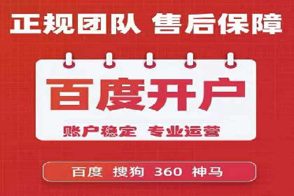 某某SEM团队成功提升网站流量与转化率的实战经验